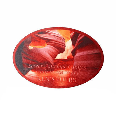 Sublimatie Gedrukt Ijzer op Flardendouane Logo Patches For Clothes