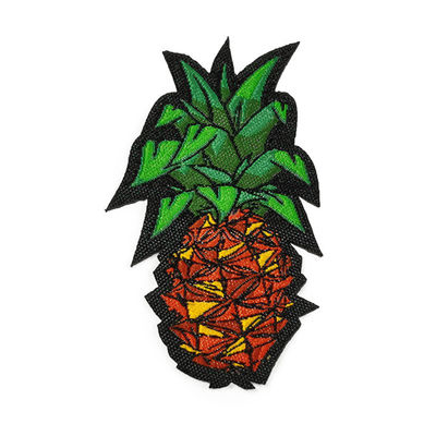 De kleurrijke Flarden van het de Flardenfruit Geweven Etiket van Dradeneco Vriendschappelijke